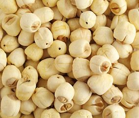 Image showing Dry lotus seed 