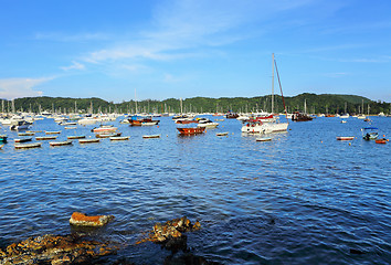 Image showing yacht boat in bay