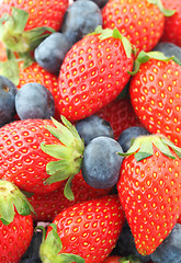 Image showing Strawberries and Blueberries mix 