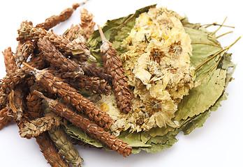 Image showing chinese herbs tea ingredient