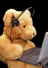 Image showing Bear Customer Service