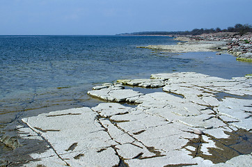 Image showing Flat rock coast