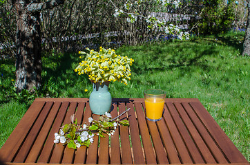 Image showing Glass of juice on decorated garden table