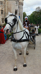 Image showing Medieval Woman in a Carriage