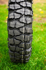 Image showing Tire at green grass