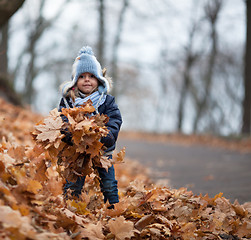 Image showing Little girl plays with the leaves