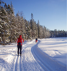 Image showing Skiing