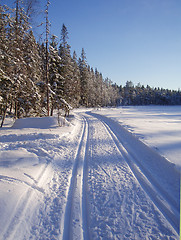 Image showing Snow