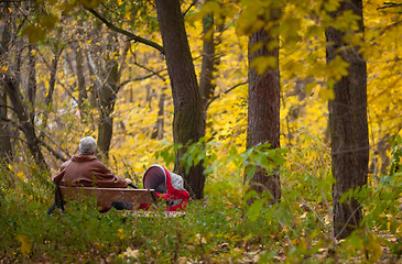 Image showing Grandpa with trolley in the Autumn park
