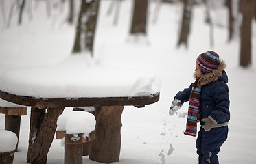 Image showing Child explores snow