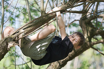 Image showing Happy boy hanging in a tree