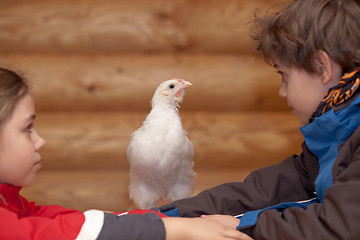 Image showing Young hen and children