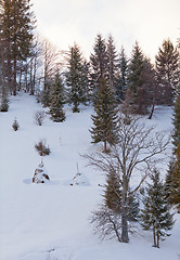 Image showing Winter landscape