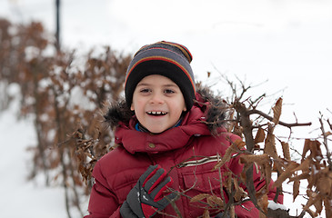 Image showing Portrait of cheerful little boy