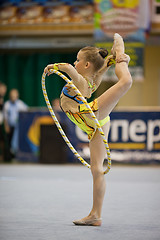 Image showing Gymnastics open tournament