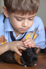 Image showing Boy and guinea pig