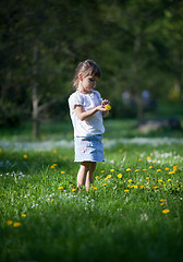 Image showing Little girl exploring dandelion