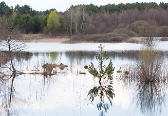 Image showing Flood in the forest