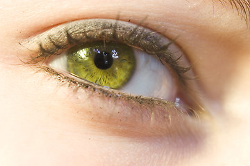 Image showing Eye macro