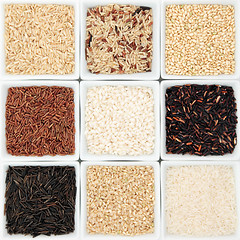 Image showing Rice Grain Varieties