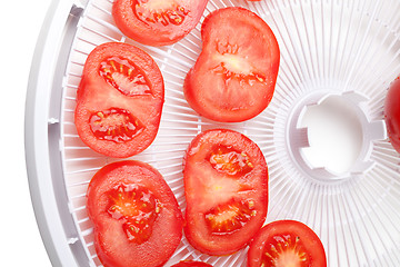 Image showing Fresh tomato on food dehydrator tray