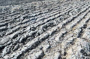 Image showing agricultural background showing a plowed field surface