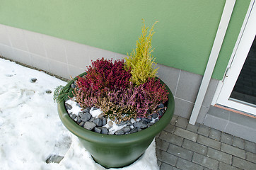 Image showing plastic pot decorative heather stones office door 