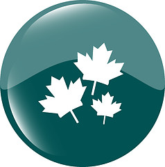 Image showing Maple leaf icon on green sticker