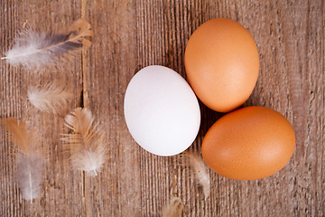 Image showing three eggs and feathers 