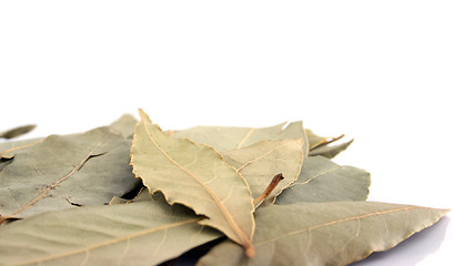 Image showing Spice - Bay Leaves close up