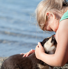 Image showing Puppy licks child's nose