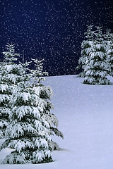 Image showing Winter Snow