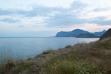 Image showing Grass by coast
