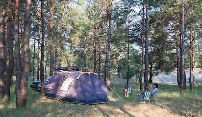 Image showing Camping at pine forest