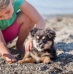 Image showing Puppy and girl