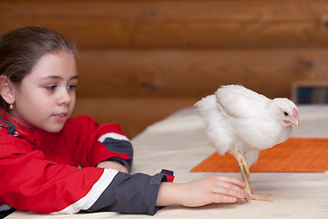 Image showing Girl and young hen