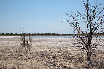 Image showing Drought affected land