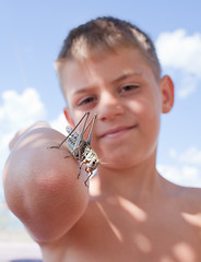 Image showing Grasshopper sits on  boy's arm