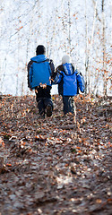 Image showing Children walking in a forest