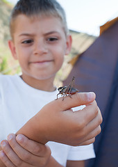 Image showing Grasshopper sits on  boy's arm