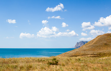 Image showing Grass by coast