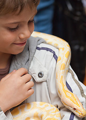 Image showing Boy with the Python