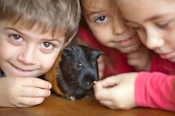 Image showing Children and guinea pig