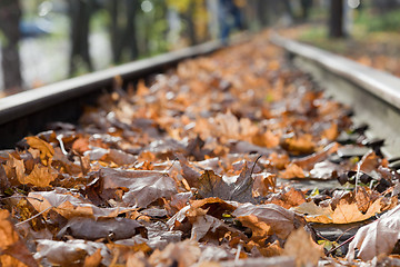 Image showing Railroad with autumn leaves