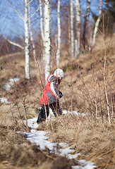 Image showing Snowy path