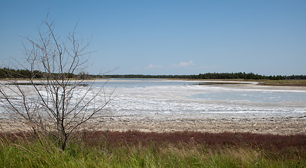 Image showing Drought affected land