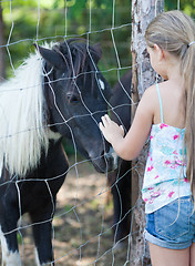 Image showing Little girl and pony