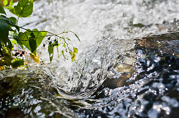 Image showing Close up of water 