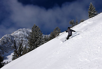 Image showing Skiing