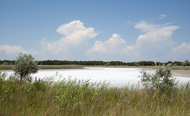 Image showing Saline lake, Kinburn Spit, Ukraine